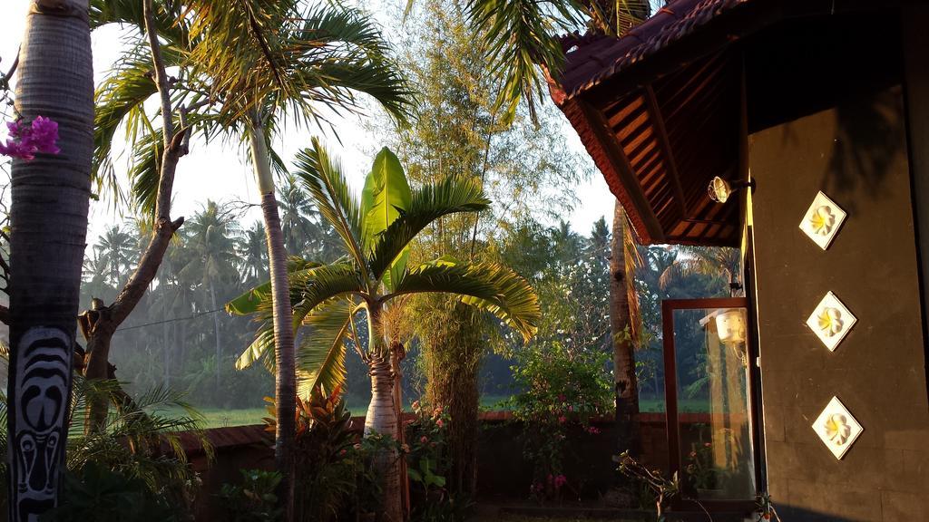 Villa Murni Lovina Quarto foto